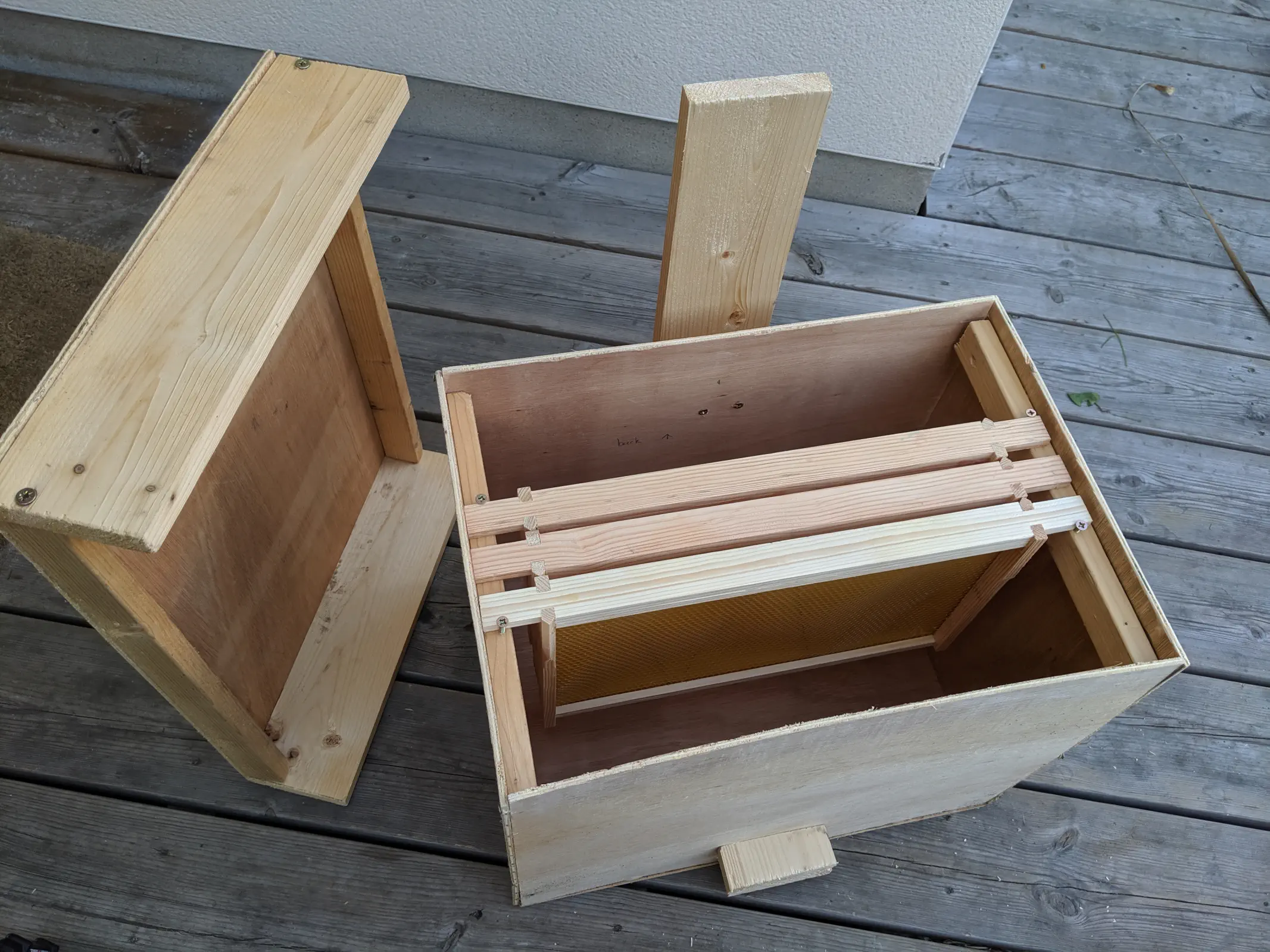 A honeybee bait box with a few empty frames inside and an opened lid leaning on the side